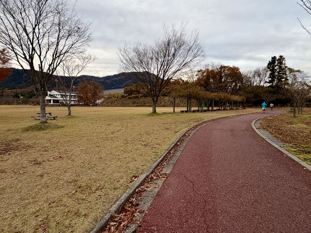 公園内の周回コース